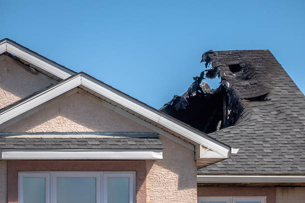 Licensed Fire Damage Removal service in Seffner, FL - Fire Damage Laser Cleaning